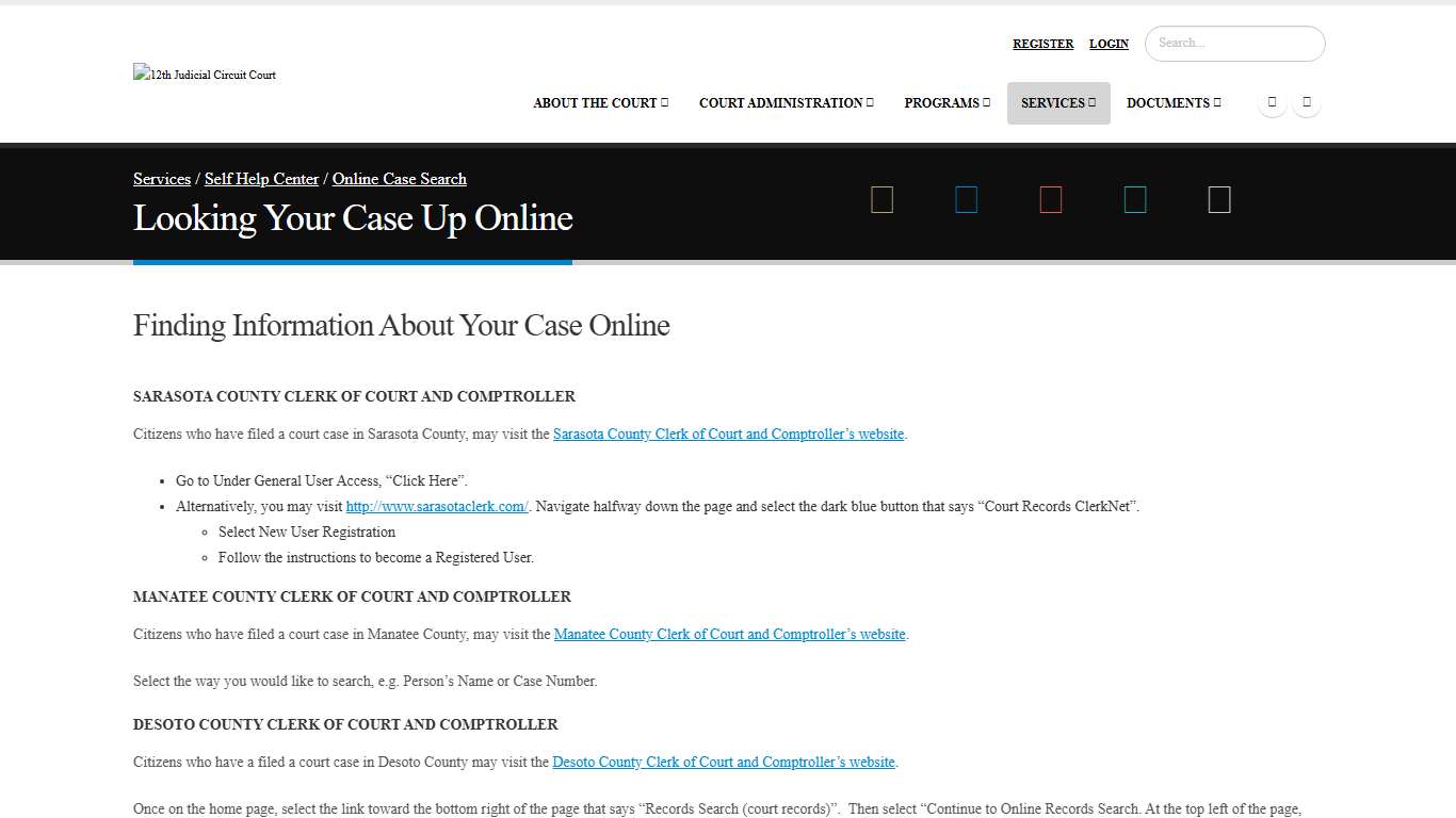 Looking Your Case Up Online